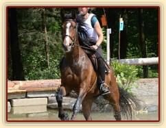 Highland Z, všestrannost ZK Brno, červen 2012, vybojovala 4. místo