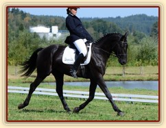 Carthago, všestrannost L Humpolec (finále KMK pětiletí), srpen 2012