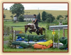 Vikina, všestrannost L Humpolec (Stříbrná podkova), červenec 2012