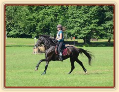 Arwen, všestrannost Z Loštice, červen 2012