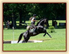 Carthago, všestrannost ZL Loštice (KMK pětiletí), červen 2012, vybojoval 5. místo