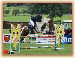 Vikina, všestrannost L Humpolec (Stříbrná podkova), červenec 2012