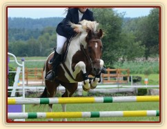 Vikina, všestrannost L Humpolec (Stříbrná podkova), červenec 2012