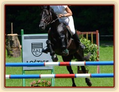 Carthago, všestrannost ZL Loštice (KMK pětiletí), červen 2012, vybojoval 5. místo