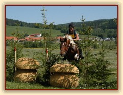 Vikina, všestrannost L Borová (Stříbrná podkova), květen 2012