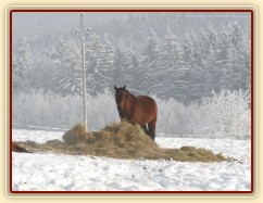 Agáte je v balíku:-)