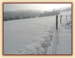 Ohradníkové lanko bývá v zimě trochu větší:-)