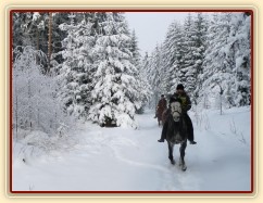 Lesní cesty jsou v zimě ideální na cválání...