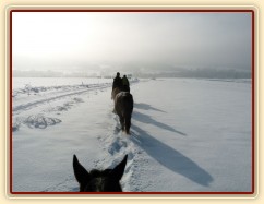 Všichni v jedné stopě:-)