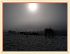 Fotky za svitu měsíce...