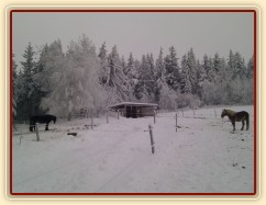 Zimní přístřešek...