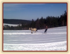 6.3.2013 - Jarní lyžovačka:-) Ještě jsme tu nezažili, aby bylo 30cm sněhu a 10°C :-)
