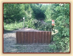 Brno, špice s proutěnkou v lese