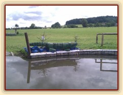 Humpolec, seskok přes krokodýla do vody