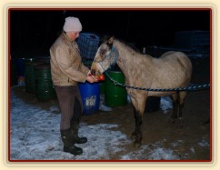 24.3.2013 - Greisy oslavila 20. narozeniny:-) Tak ať s námi vydrží ještě dalších 20 let:-)