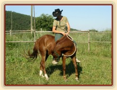 Janek poprvé s člověkem na hřbetě