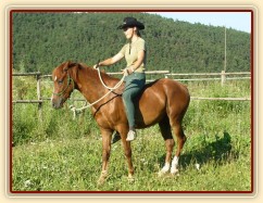 Janek a jedno z jeho prvních vykročení s jezdcem na zádech.