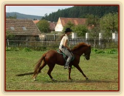 Janek po 2 měsících výcviku, cval na jízdárně