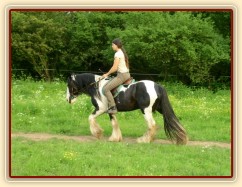 Bas po dvou měsících ve výcviku, jízdárna - krokem po obvodu