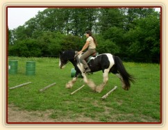 Bas po dvou měsících ve výcviku, jízdárna - přes kavalety v klusu