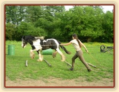 Bas, 7 her podle Pata Parelli - překlusání kavalet (7.hra - stlačovací neboli prostorová)