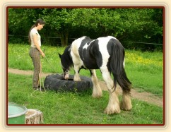 Bas, 7 her podle Pata Parelli - Bas se poprvé učí stoupnout do pneumatiky, jedna noha je uvnitř