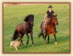 Ducado na vyjížďce na laně