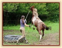 Vikina, začátky práce ze země - do pneumatiky nevlezu:-)