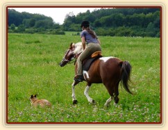 Ze začátku Vikina na vyjížďkách projevovala svou náladu, hlavně když jí člověk nechtěl nechat běžet:-)