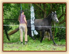 Kasira při práci ze země - prochází mezi zavěšenými pet lahvemi