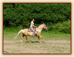 Quarter horse Jacs po třech měsících výcviku při ježdění na jízdárně  - cval