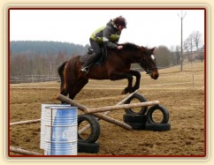Appaloosa hřebec Monty a jeho první samostatné skoky