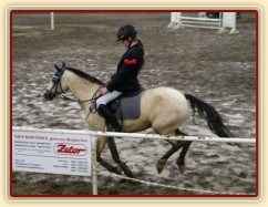 Čestné kolo v bahně, 3. místo v mistrovské soutěži