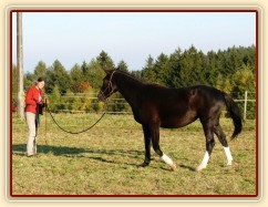 Kroona, kruhová hra, přivolání