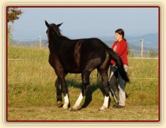 Kroona, ustupování podél ohrady neboli stranová hra