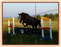 Kroona, skok přes překážku na laně