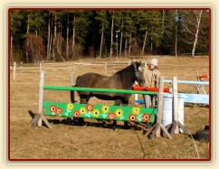 Tříletý Divíšek, práce ze země, vysílání do uzavřeného prostoru