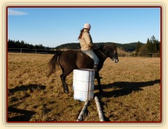 Tříletý Divíšek, zastavení mezi sudy...