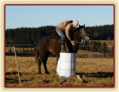 Tříletý Divíšek, nácvik klidného stání, ať člověk na něm dělá cokoliv:-)
