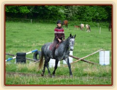 Starokladrubák Generalissimus Malajka na jízdárně po dvou měsících práce, ježděn na dvojitých otěžích