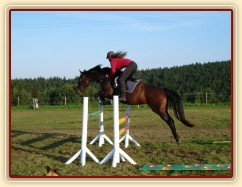 Skákání skokových řad pod sedlem, čtyřletá klisna Lily