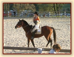 Cen bylo tolik, že se ani nedaly pobrat :-)