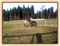 Obsedání problémového Welsh Coba Adventure, první chození s jezdcem na zádech