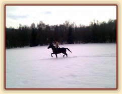 Tříletý Chesterton po dvou měsících od obsednutí, vyjížďka