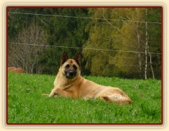 Samantha má vše pod kontrolou:-)