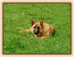 Sally se unavila...:-)