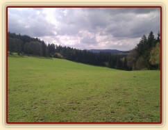 Jaro je konečně tady...