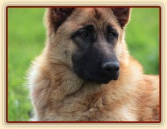 Foto Zdeňka Šimková