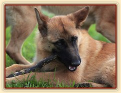 Foto Zdeňka Šimková