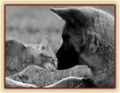 Foto Zdeňka Šimková